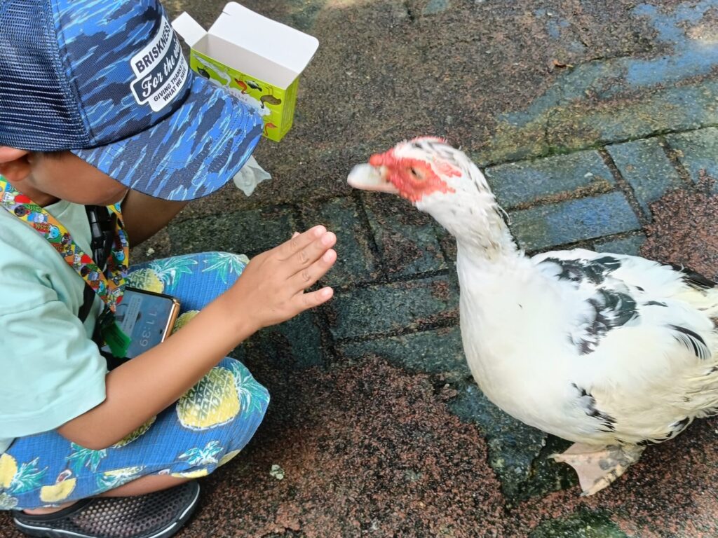 沖縄観光スポット　ネオパークオキナワ　動物たち