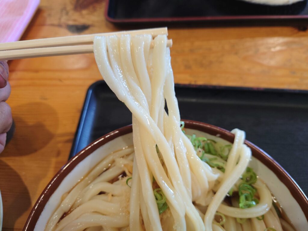 うつ海うどん　ぶっかけうどん