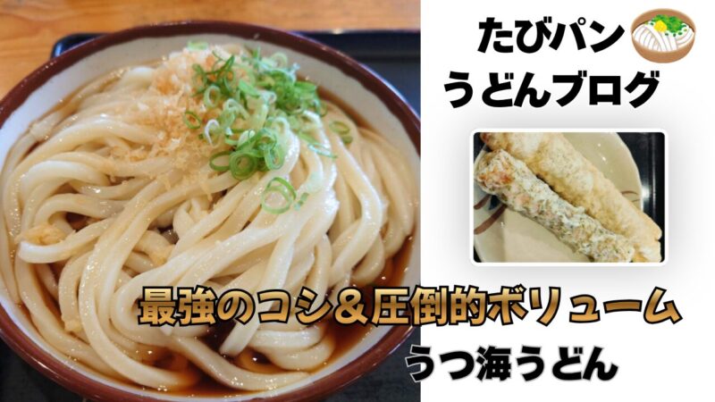 高松市の人気うどん店「うつ海うどん」で提供されるボリューム満点のうどんメニューと天ぷら