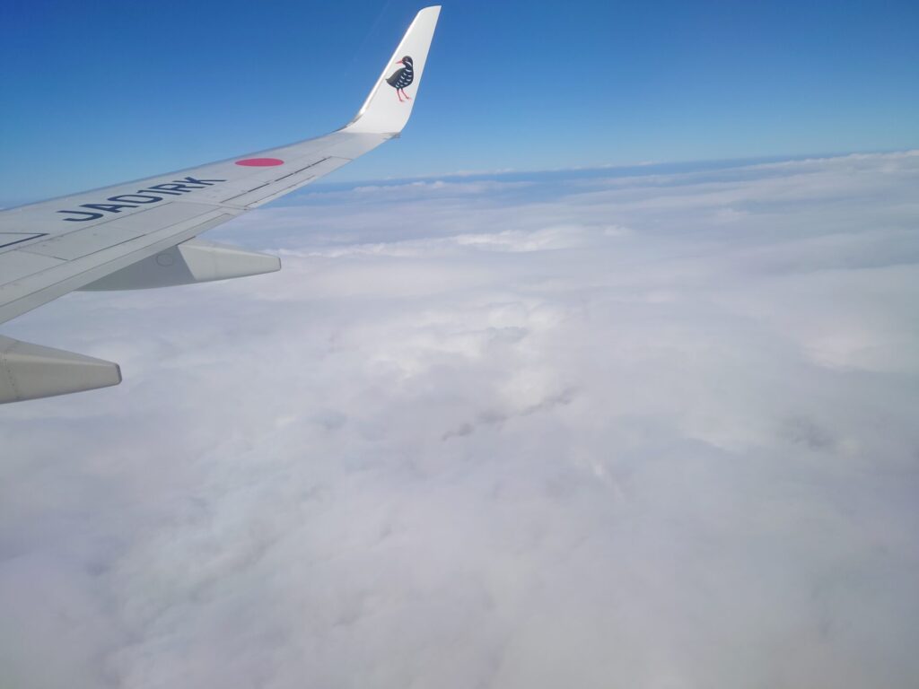 沖縄旅行　飛行機