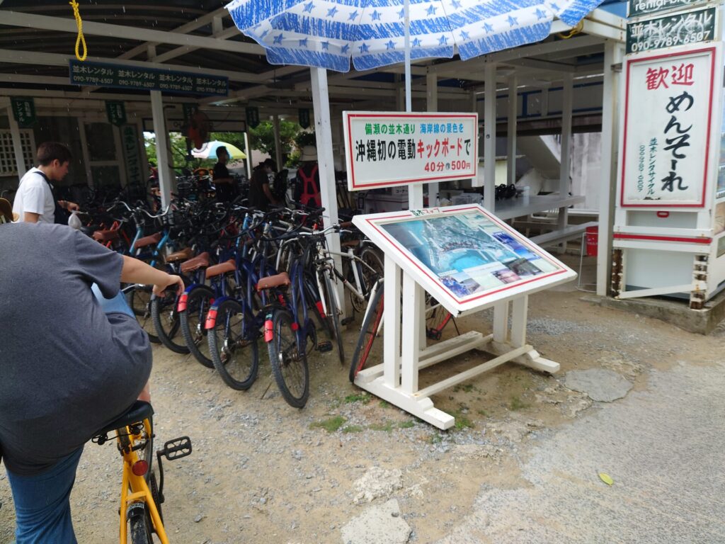 沖縄旅行　フクギ並木　レンタサイクル
