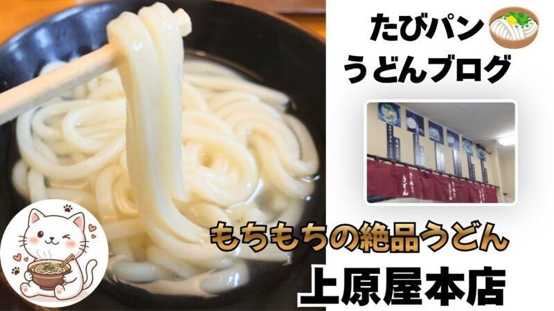 栗林公園近くの行列店「上原屋本店」のもちもちの讃岐うどん