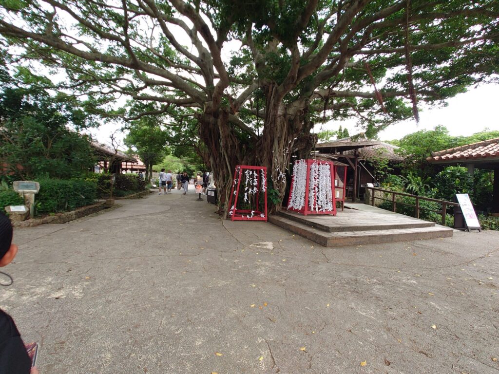 おきなわワールド　沖縄旅行　沖縄観光スポット 玉泉洞　植物園