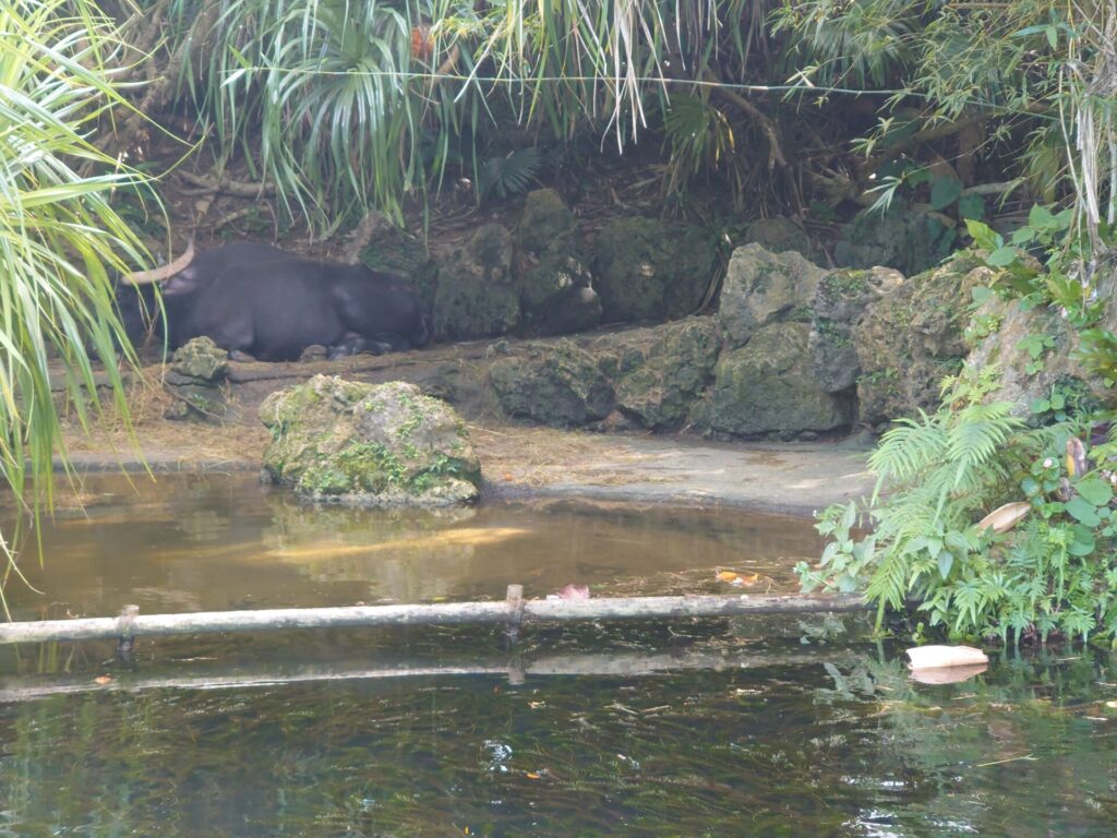 沖縄観光スポット　ビオスの丘