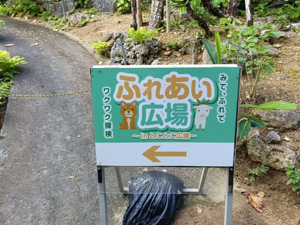 沖縄観光スポット　ネオパークオキナワ　動物たち