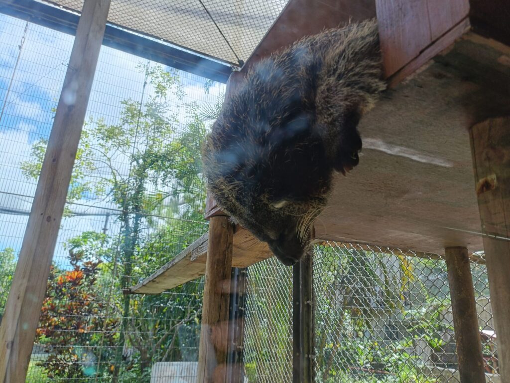 沖縄観光スポット　ネオパークオキナワ　動物たち