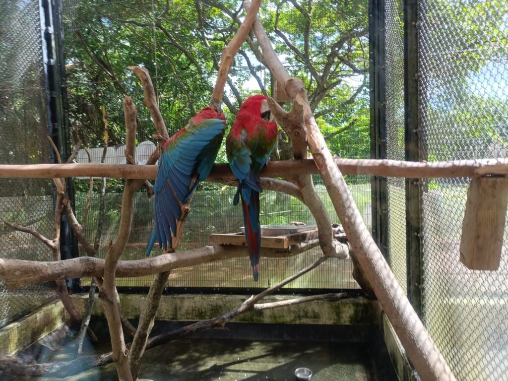 沖縄観光スポット　ネオパークオキナワ　動物たち