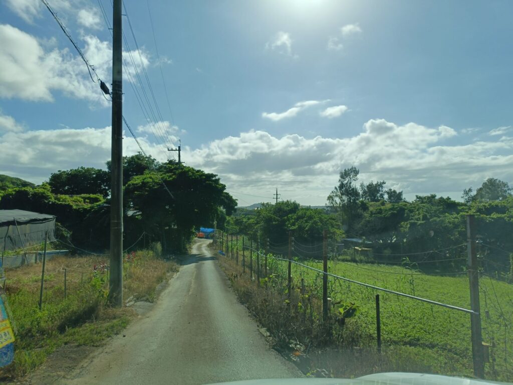 沖縄旅行　沖縄ピザ　花人逢　かじんほう　道