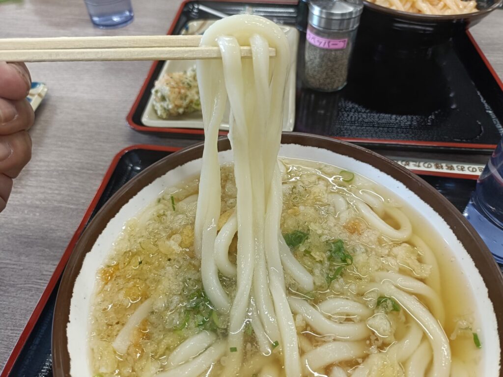 高松うどん　さか枝うどん多肥店　かけうどん