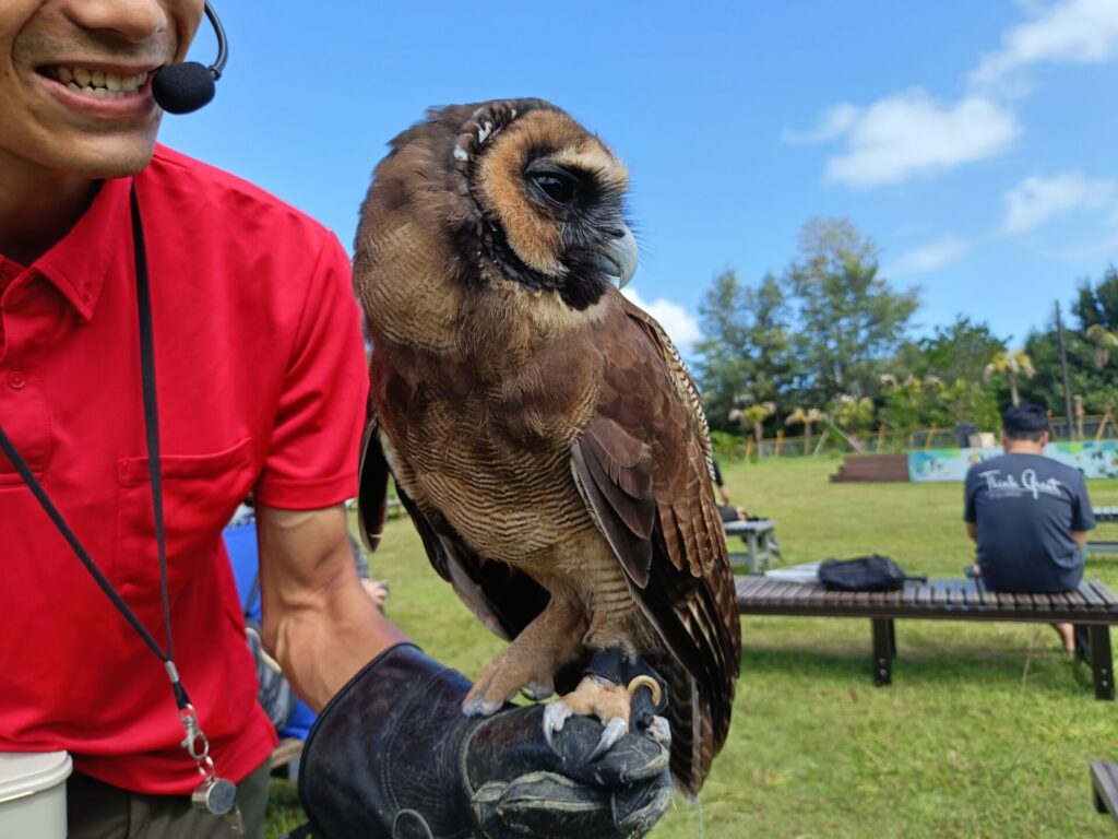 沖縄旅行　沖縄観光　沖縄旅行モデル　沖縄観光スポット　ネオパークオキナワ