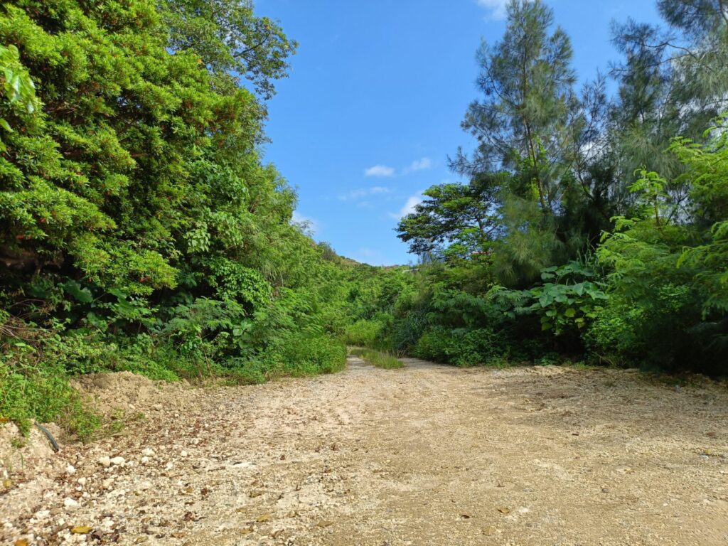 沖縄旅行　沖縄観光　沖縄旅行モデル　沖縄ピザ　花人逢