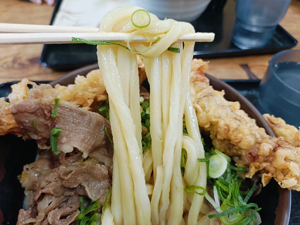 高松うどん　はな庄うどん　麵