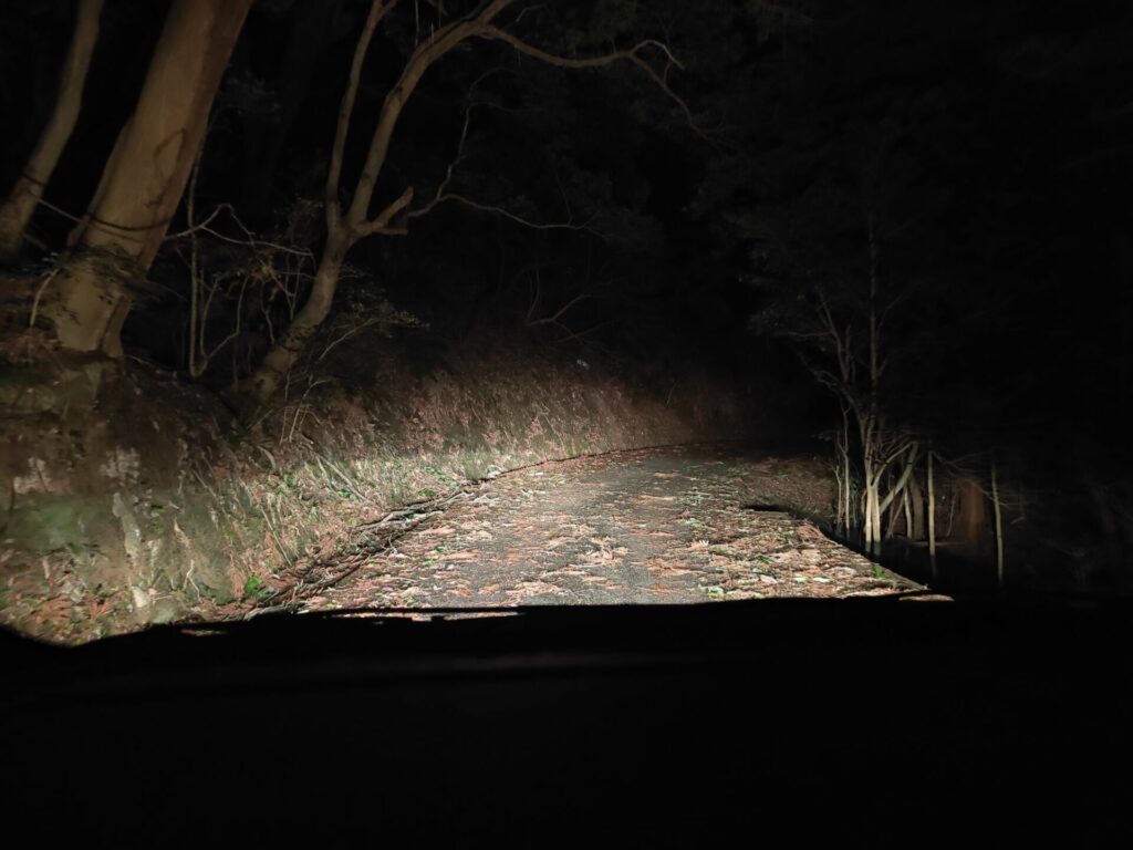 あせび温泉 やすらぎの郷 山道