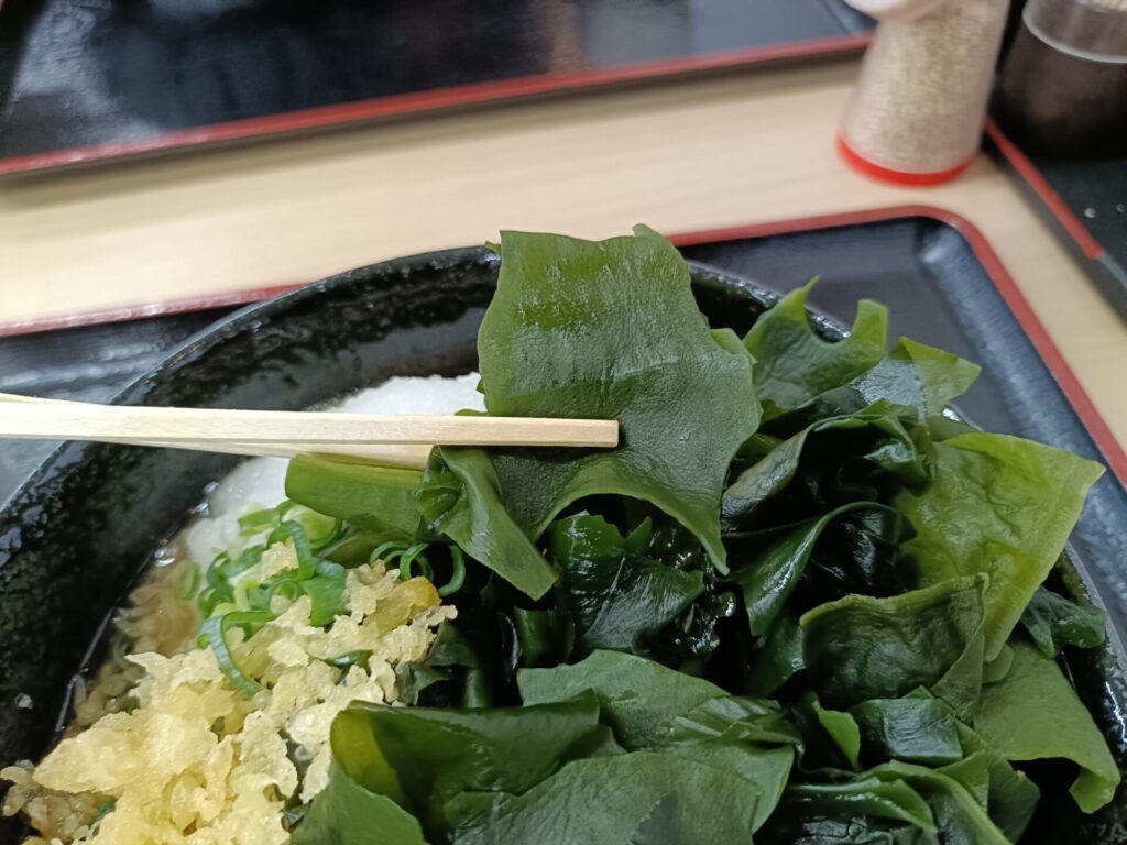 晴屋製麺所　無料トッピングわかめ