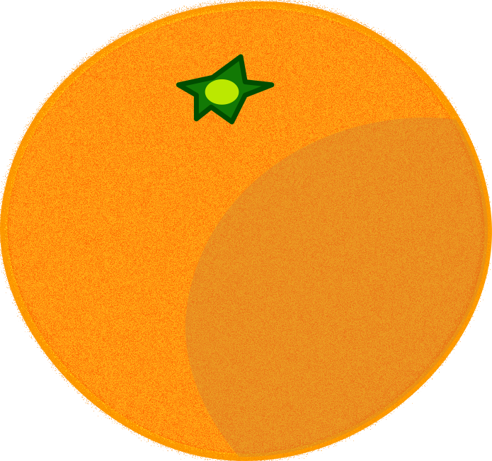 甘いみかん見極めポイント