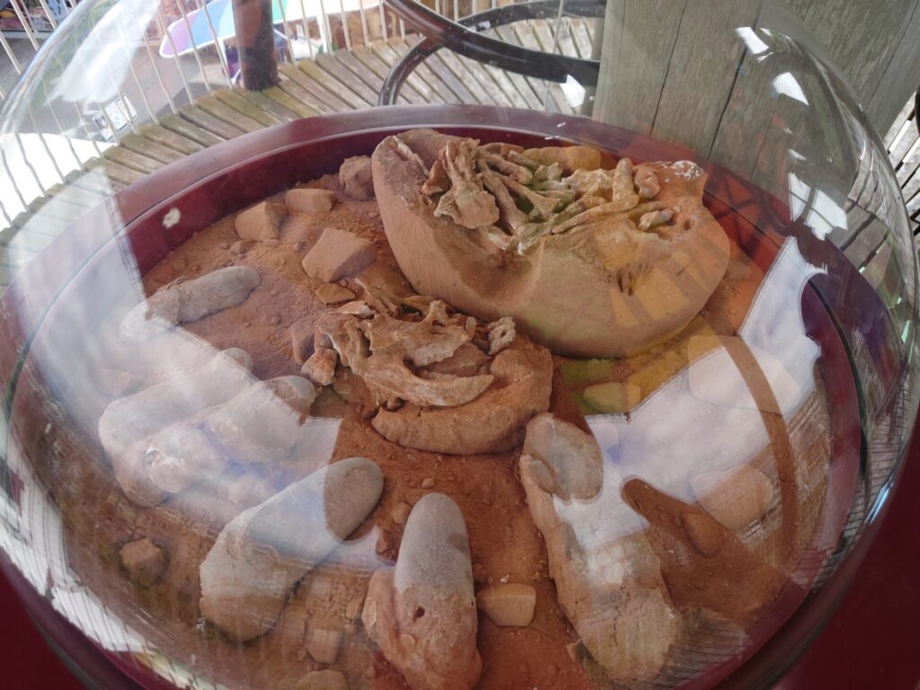 高知旅行　創造広場アクトランド　高知遊びスポット