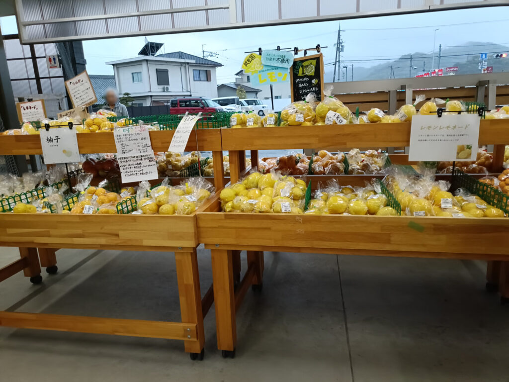 和歌山みかん　和歌山産直市場　ありだっこ