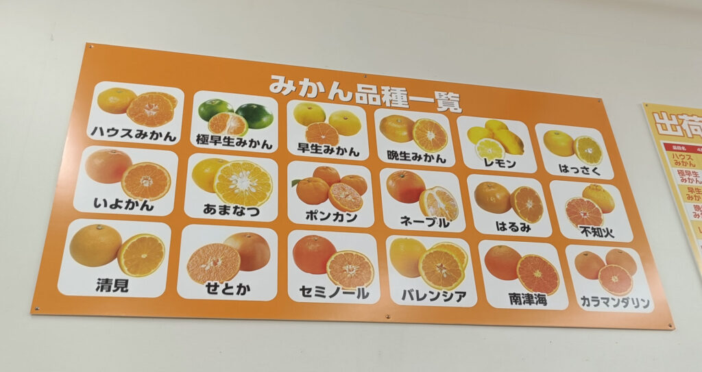 和歌山みかん　和歌山産直市場　ありだっこ