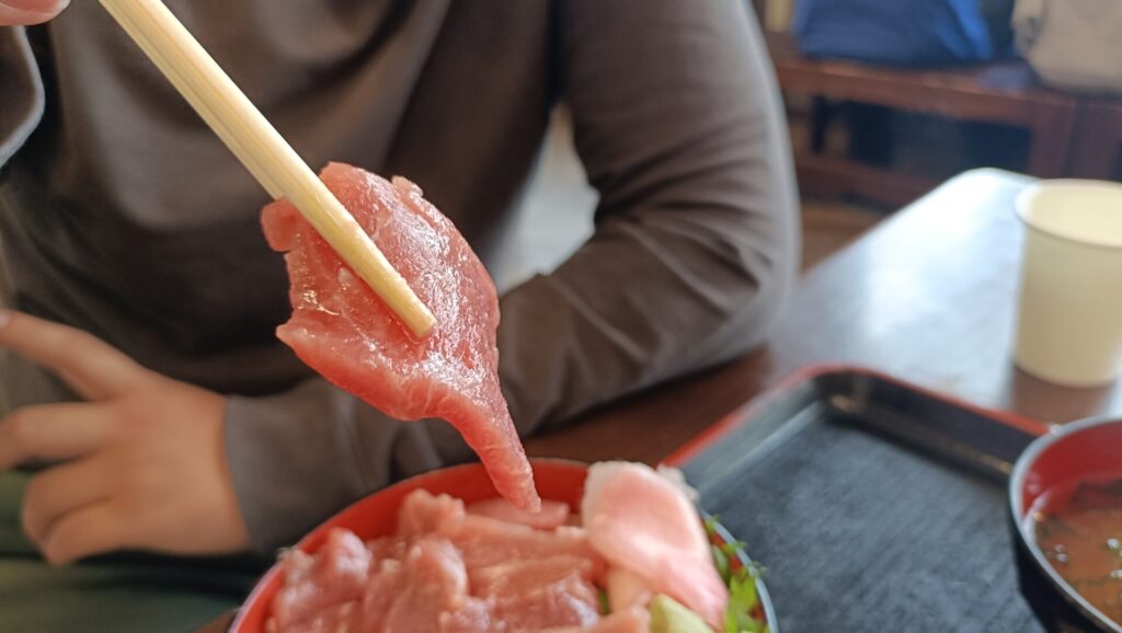 高知グルメ　黒潮ひろば　大トロ丼