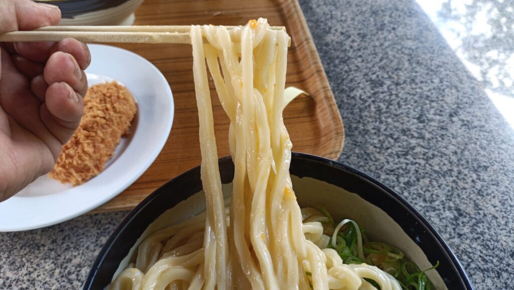 香川うどん巡り　山越うどん　釜玉うどん　辛い