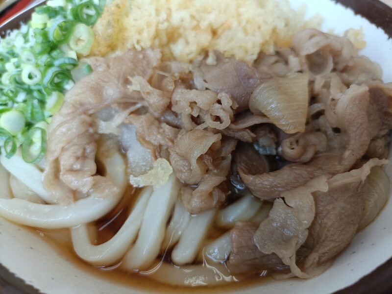 さか枝うどん春日店の肉ぶっかけうどんのアップ写真