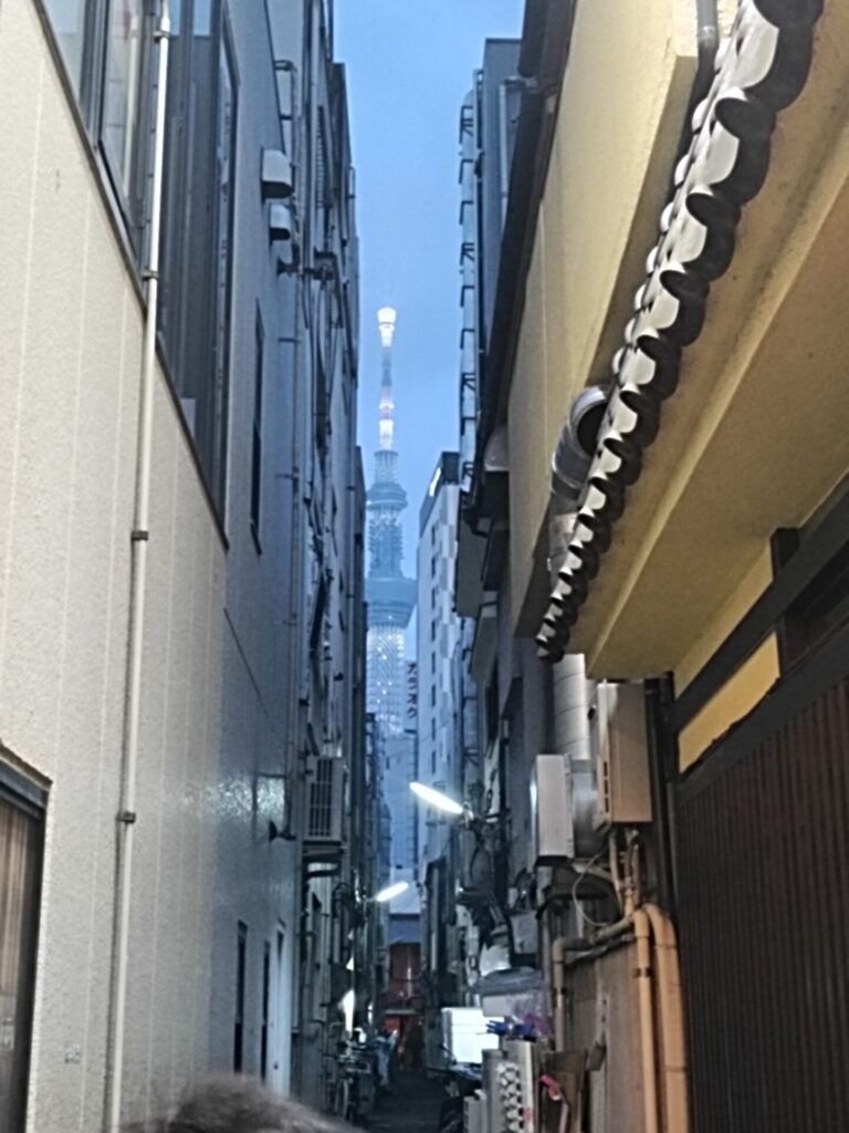 浅草グルメ　天ぷら　浅草天彩（あまいろ）