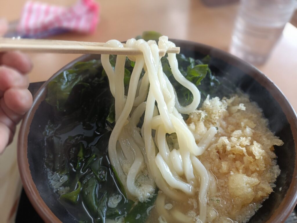 さか枝うどん春日店　釜かけうどん