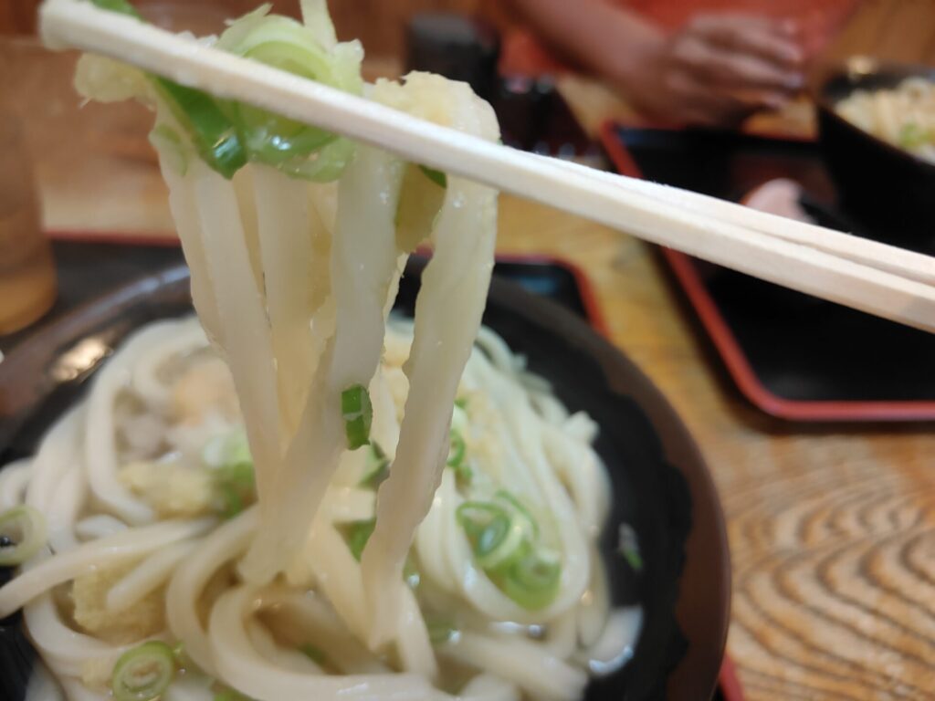 手打ち十段うどんバカ一代　釜かけうどん