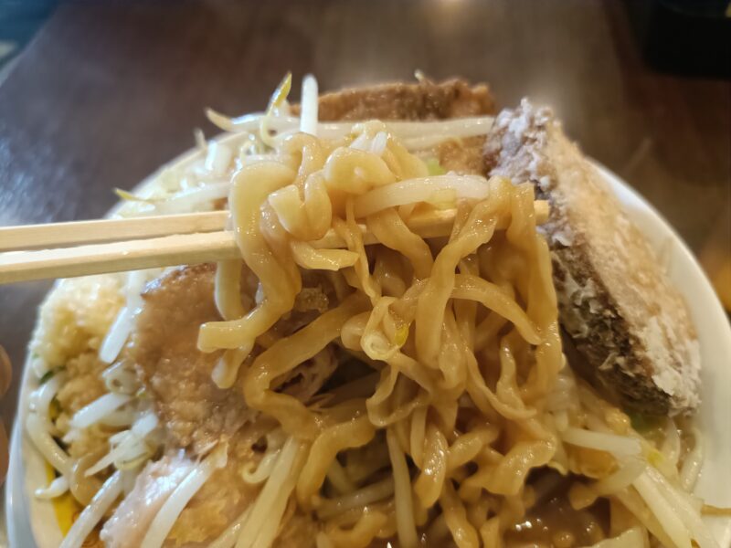 飛べ豚高松店の濃厚スープと絡むワシワシとした極太麺