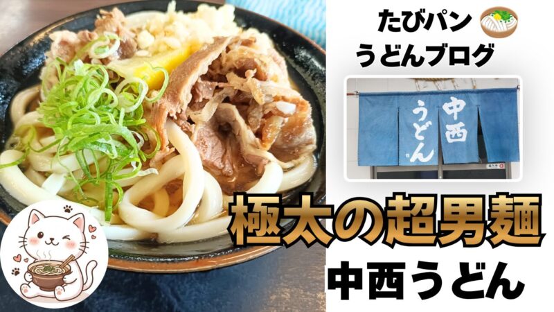 中西うどんのボリューム満点な肉うどん