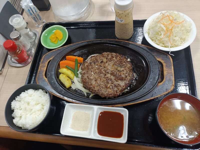 南国サービスエリア、レストランエリエールで食べた土佐のあかうしハンバーグ定食