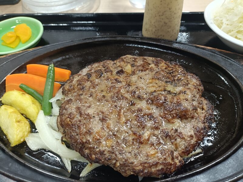 南国サービスエリア、レストランエリエールで食べた土佐のあかうしハンバーグ定食のハンバーグのアップ写真