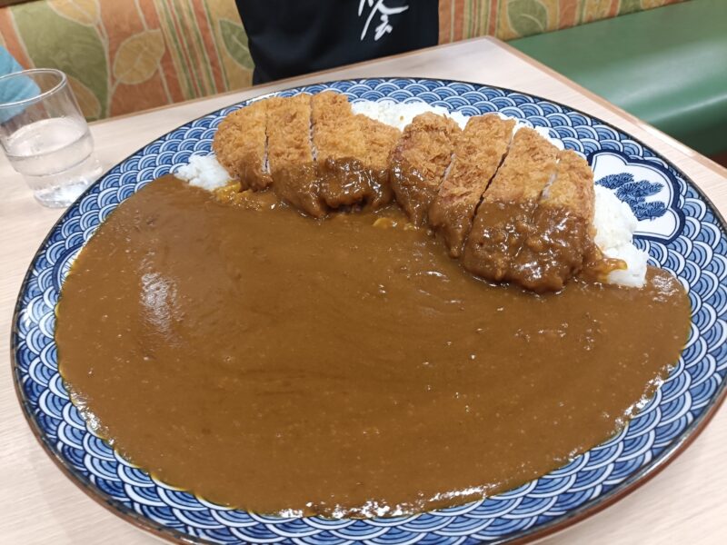 南国サービスエリア、レストランエリエールで食べた総重量2kgあるトンカツ2枚入ったトンカツカレー